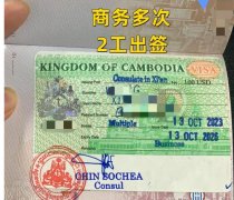 給力！柬埔寨三年多次簽證 2工出簽！